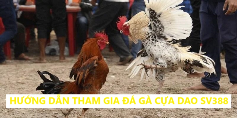Thao tác truy cập sv388 đơn giản và nhanh chóng
