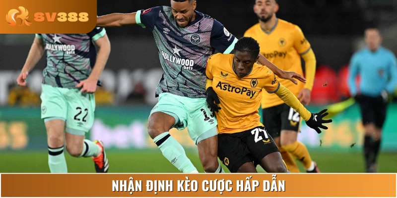 Dự đoán từ nhà cái - Wolverhampton Wanderers vs Brentford khó đoán