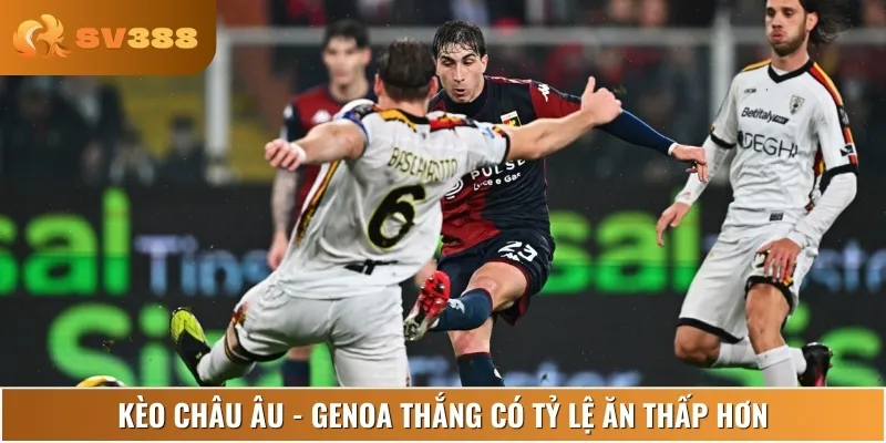 Nhà cái đánh giá cao khả năng Genoa giành chiến thắng trên sân nhà