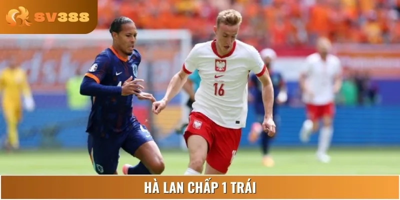 Lợi thế sân nhà giúp “Cơn lốc cam” được đánh giá cao
