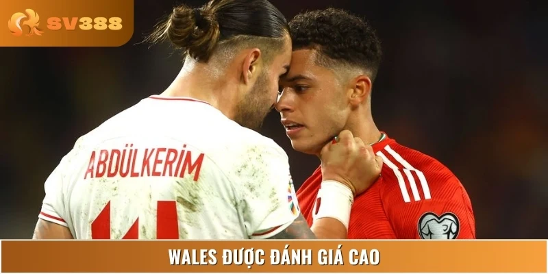 Wales được đánh giá cao nhờ chuỗi bất bại kéo dài ấn tượng
