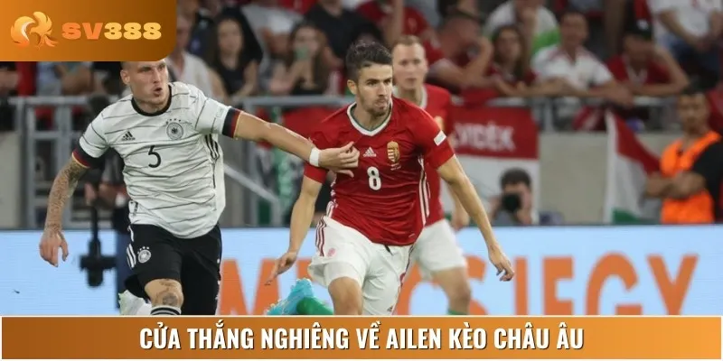 Ailen có cơ hội thắng cao khi chơi ổn định trên sân nhà