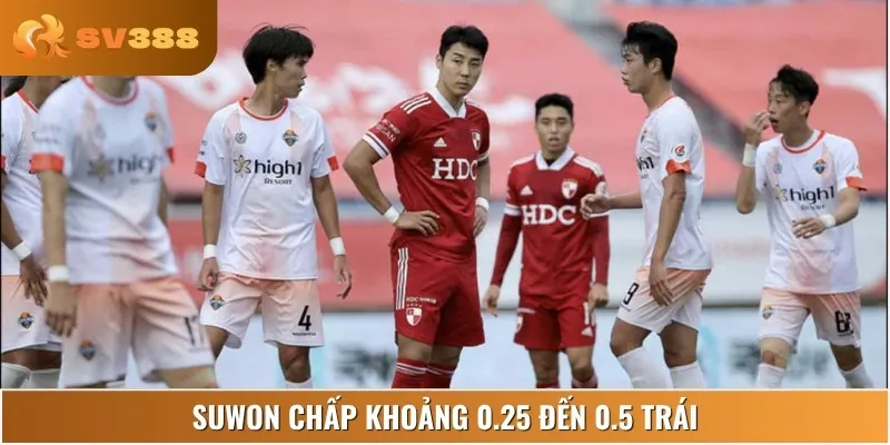 Suwon chấp 0.25 đến 0.5 trái, cửa trên của trận đấu