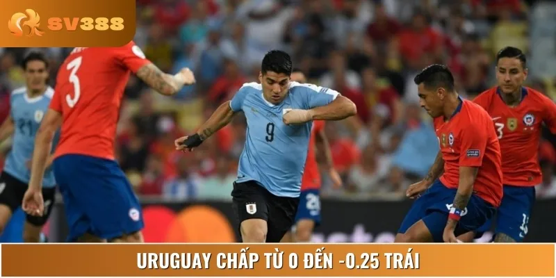 Uruguay chấp nhẹ từ 0 đến -0.25 trái, trận đấu cân tài cân sức