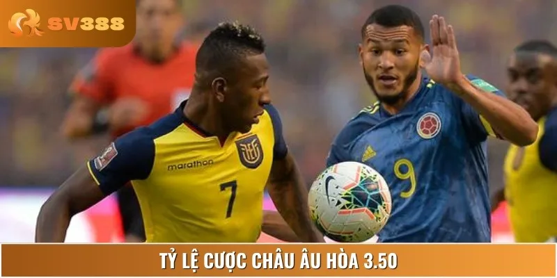 Tỷ lệ cược châu Âu hòa 3.50 trận Ecuador và Argentina